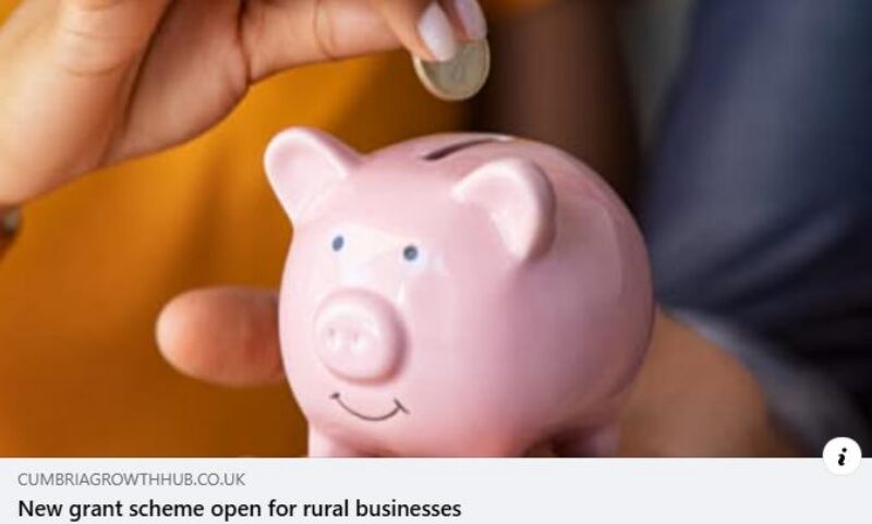 grants between £1000-49,999 for micro and small businesses